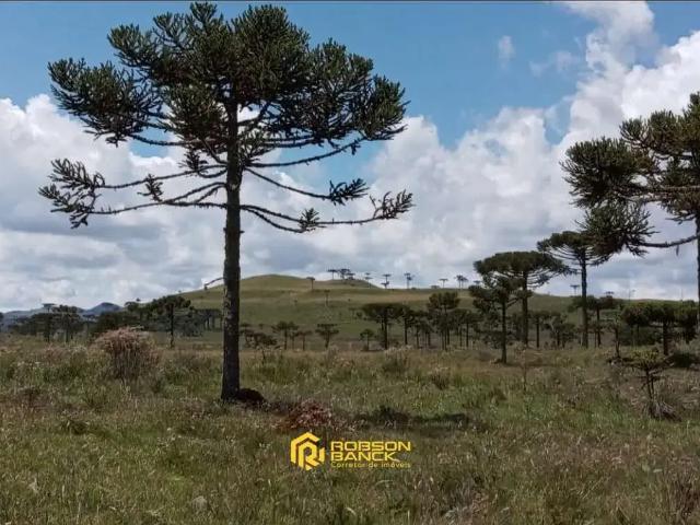 Terreno venda em Região Geográfica Imediata de Lages, São Joaquim