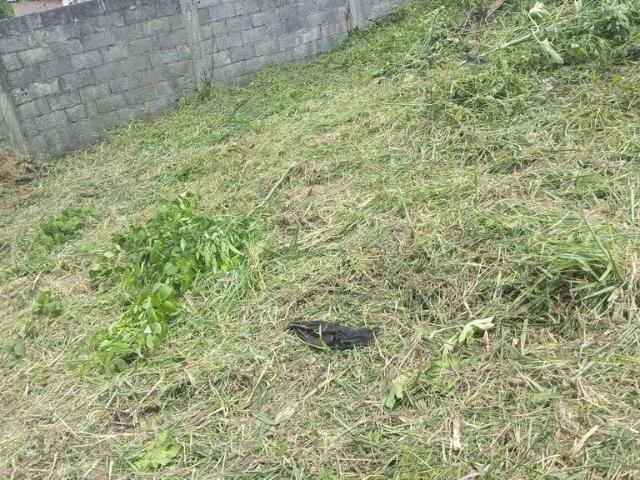 Terreno venda em São José da Lapa, Região Geográfica Intermediária de Belo Horizonte
