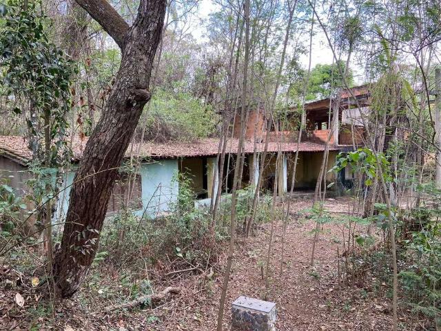 Terreno venda em Encantado