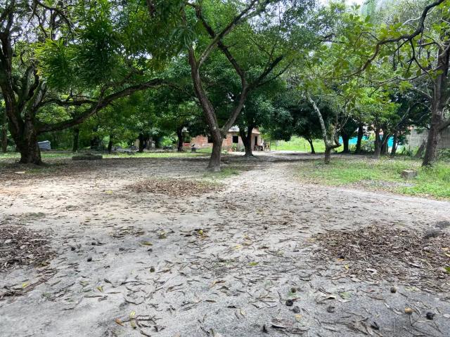 Terreno venda em Região Geográfica Imediata de São Luís, São José de Ribamar