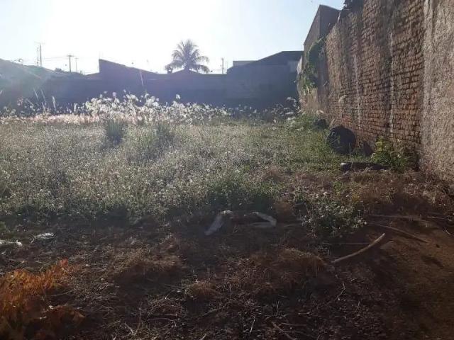 Terreno venda em São José do Rio Preto