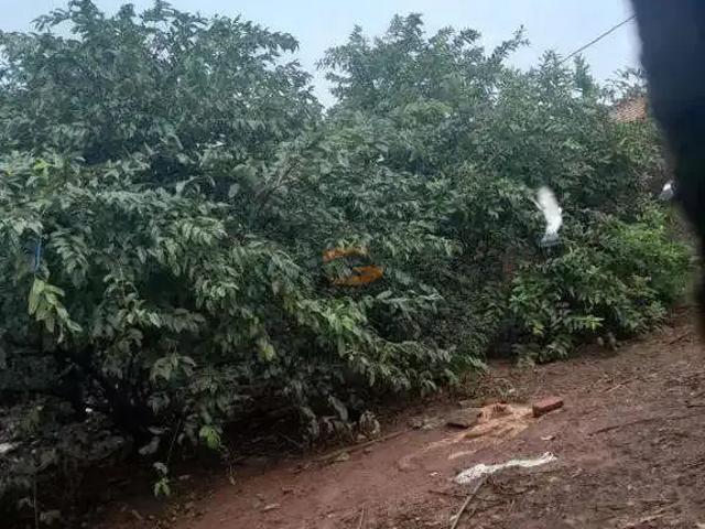 Terreno venda em Região Imediata de São José do Rio Preto, Região Metropolitana de São José do Rio Preto