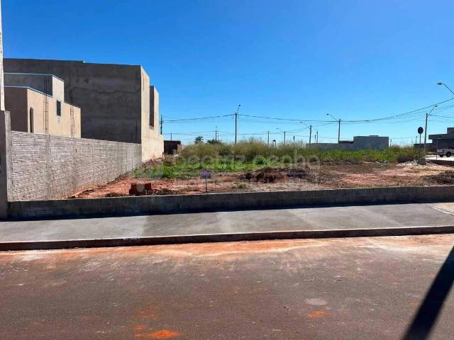 Terreno venda em São José do Rio Preto