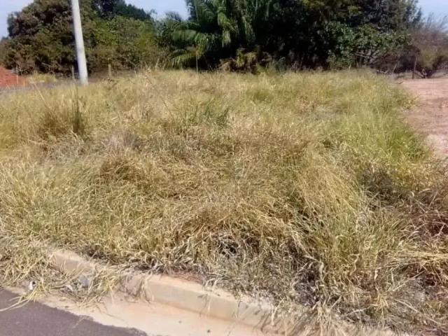 Terreno venda em Região Imediata de São José do Rio Preto, Região Metropolitana de São José do Rio Preto
