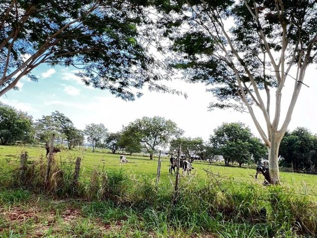 Terreno venda em São José do Rio Preto, Região Geográfica Intermediária de São José do Rio Preto