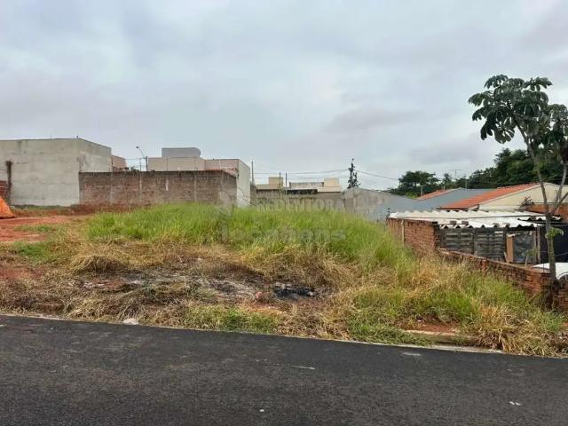 Terreno venda em Região Imediata de São José do Rio Preto, Região Metropolitana de São José do Rio Preto