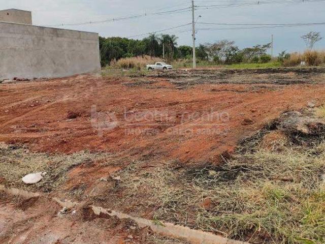 Terreno venda em São José do Rio Preto