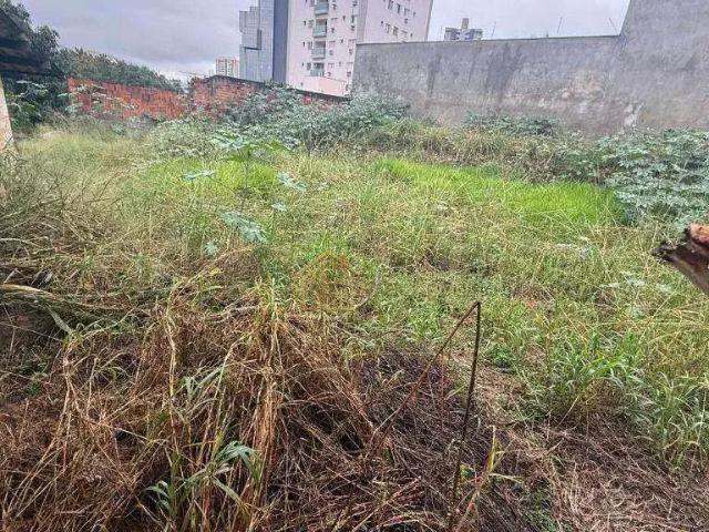 Terreno venda em São José do Rio Preto