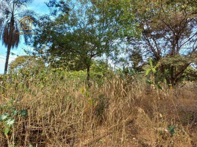 Terreno venda em Região Imediata de São José do Rio Preto, Região Metropolitana de São José do Rio Preto