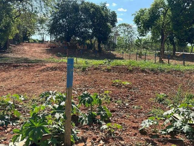 Terreno venda em Região Imediata de São José do Rio Preto, Região Metropolitana de São José do Rio Preto