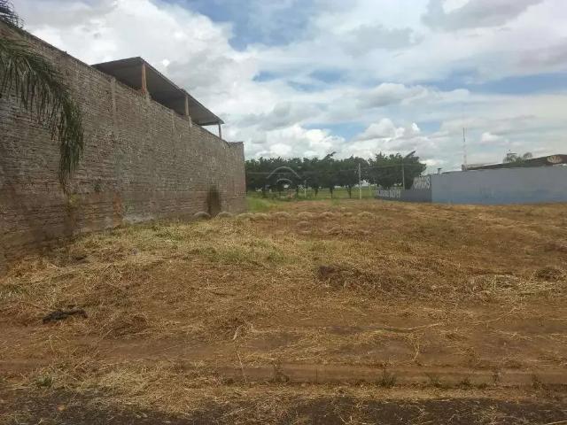 Terreno venda em Região Imediata de São José do Rio Preto, Região Metropolitana de São José do Rio Preto