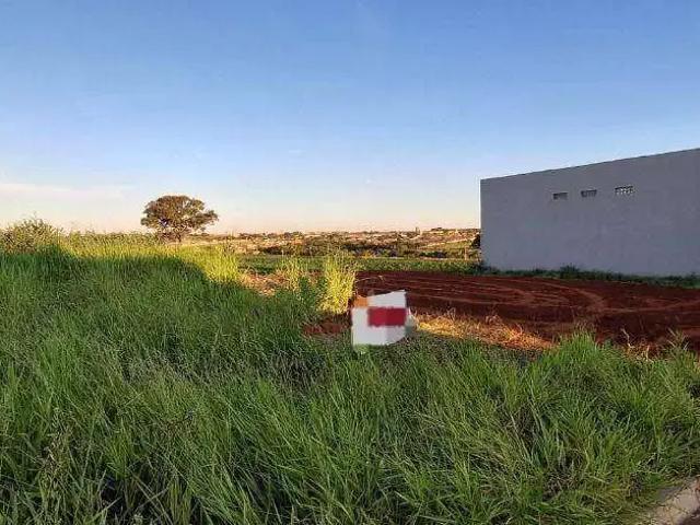 Terreno venda em Região Imediata de São José do Rio Preto, Região Metropolitana de São José do Rio Preto