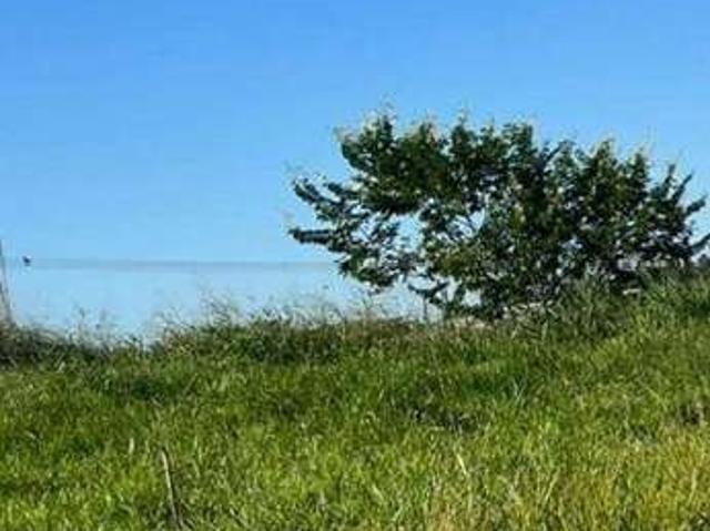 Terreno venda em Região Imediata de São José do Rio Preto, Região Metropolitana de São José do Rio Preto