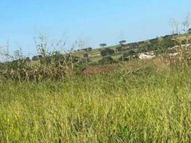 Terreno venda em Região Imediata de São José do Rio Preto, Região Metropolitana de São José do Rio Preto