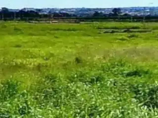 Terreno venda em Região Imediata de São José do Rio Preto, Região Metropolitana de São José do Rio Preto