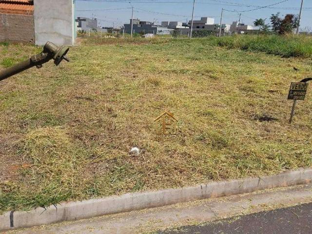 Terreno venda em São José do Rio Preto
