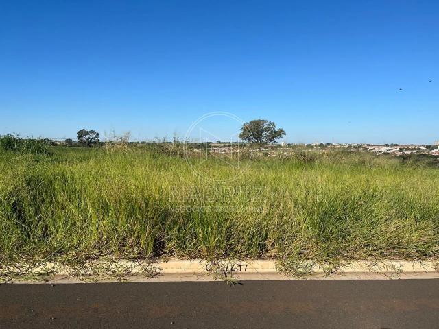 Terreno venda em São José do Rio Preto
