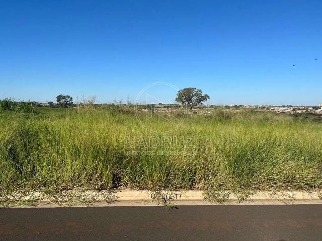 Terreno venda em Região Imediata de São José do Rio Preto, Região Metropolitana de São José do Rio Preto