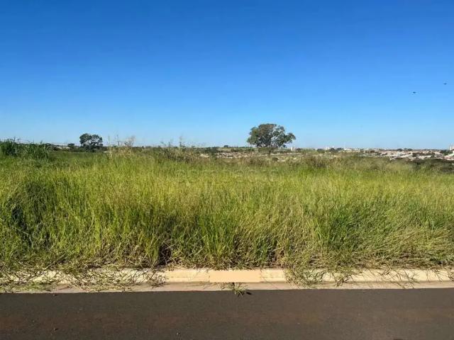 Terreno venda em Região Imediata de São José do Rio Preto, Região Metropolitana de São José do Rio Preto