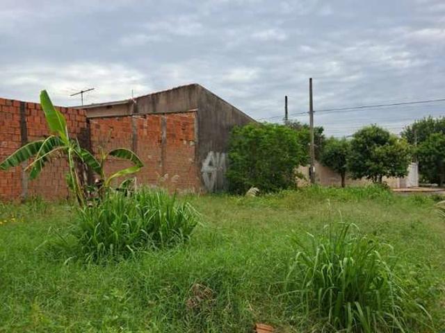 Terreno venda em São José do Rio Preto