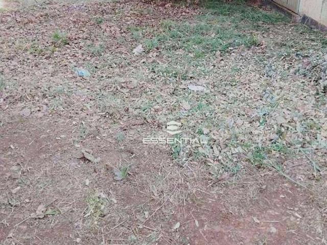 Terreno venda em São José do Rio Preto