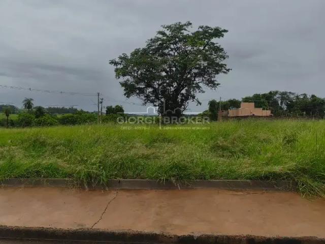 Terreno venda em Região Imediata de São José do Rio Preto, Região Metropolitana de São José do Rio Preto