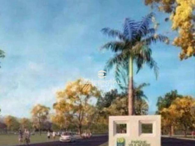 Terreno venda em São José do Rio Preto