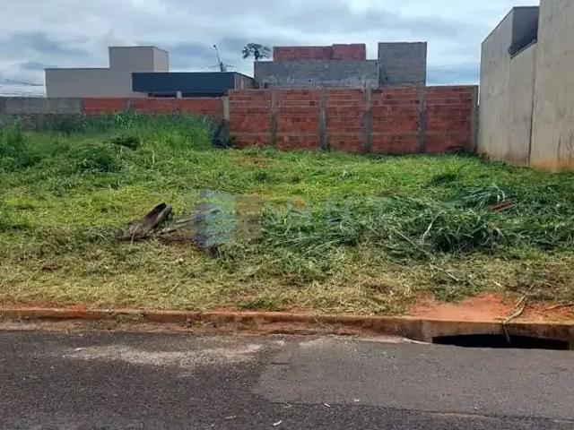 Terreno venda em São José do Rio Preto