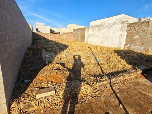 Terreno venda em Engenheiro Schmidt, São José do Rio Preto