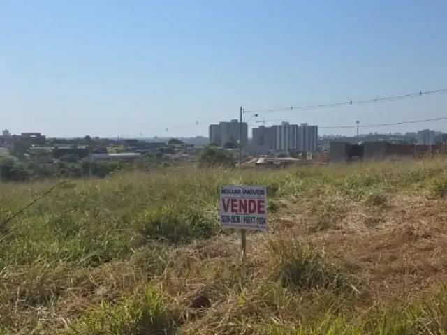 Terreno venda em São José do Rio Preto