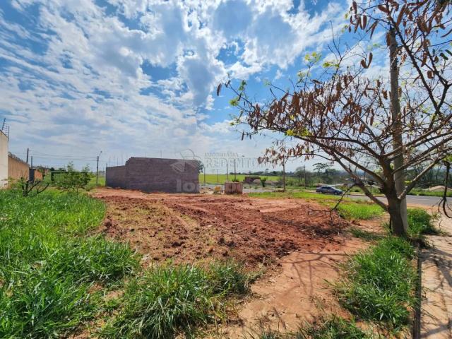 Terreno venda em São José do Rio Preto, Região Geográfica Intermediária de São José do Rio Preto