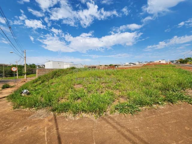 Terreno venda em São José do Rio Preto, Região Geográfica Intermediária de São José do Rio Preto