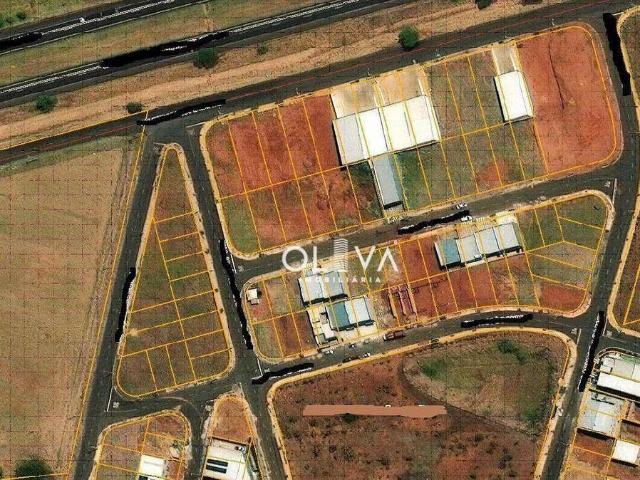 Terreno venda em São José do Rio Preto