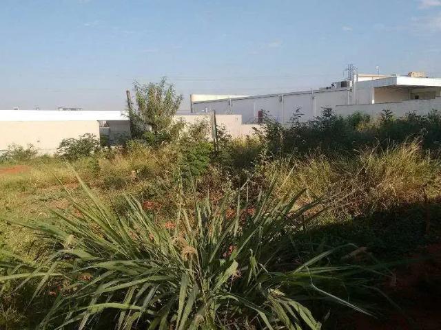 Terreno venda em São José do Rio Preto
