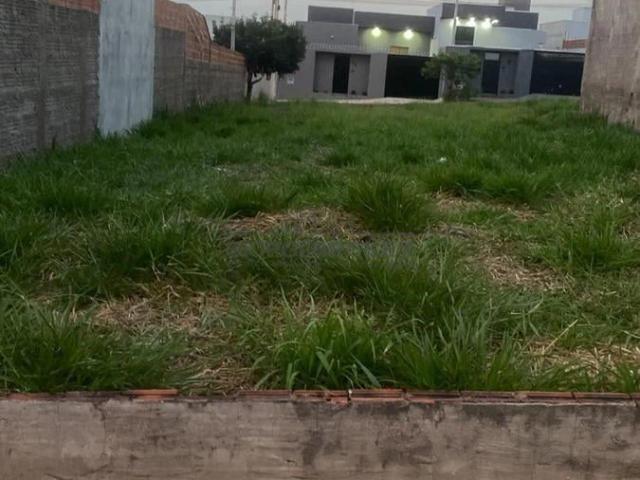Terreno venda em São José do Rio Preto