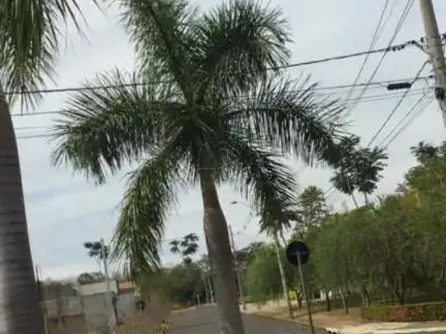 Terreno venda em Região Imediata de São José do Rio Preto, Região Metropolitana de São José do Rio Preto