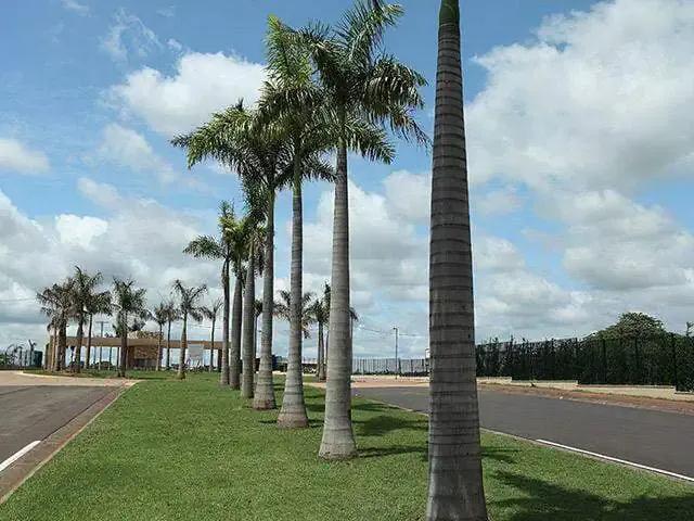 Terreno venda em Região Imediata de São José do Rio Preto, Região Metropolitana de São José do Rio Preto