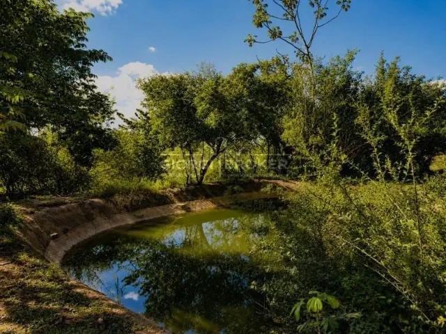 Terreno venda em Região Imediata de São José do Rio Preto, Região Metropolitana de São José do Rio Preto