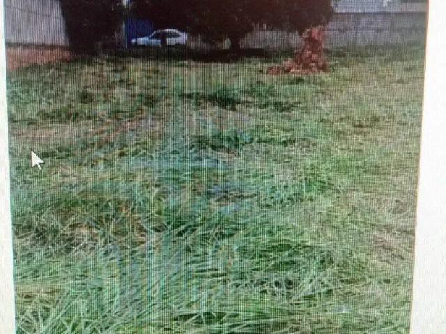 Terreno venda em São José do Rio Preto