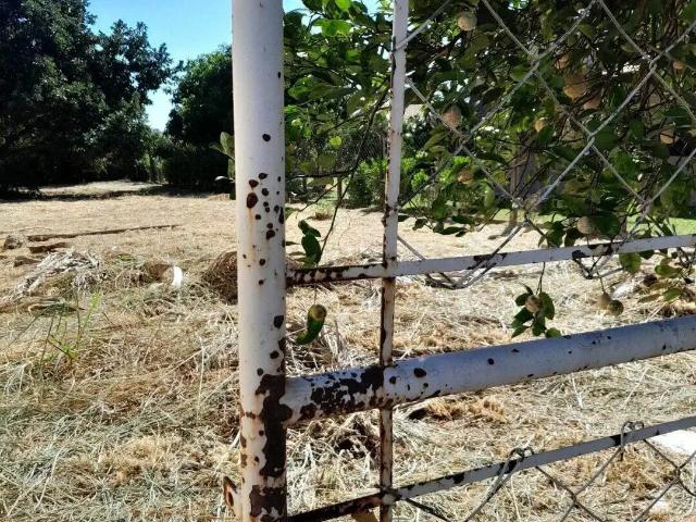 Terreno venda em Região Imediata de São José do Rio Preto, Região Metropolitana de São José do Rio Preto