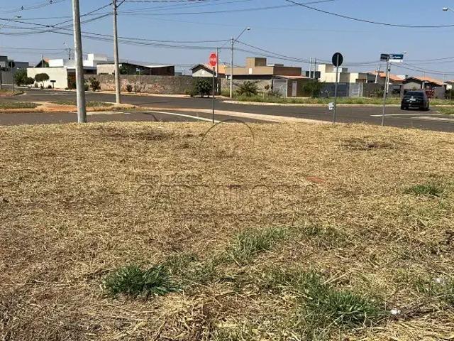 Terreno venda em São José do Rio Preto