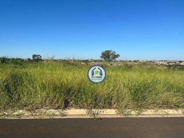 Terreno venda em São José do Rio Preto
