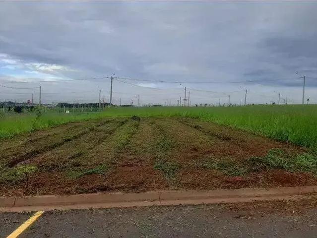 Terreno venda em Região Imediata de São José do Rio Preto, Região Metropolitana de São José do Rio Preto