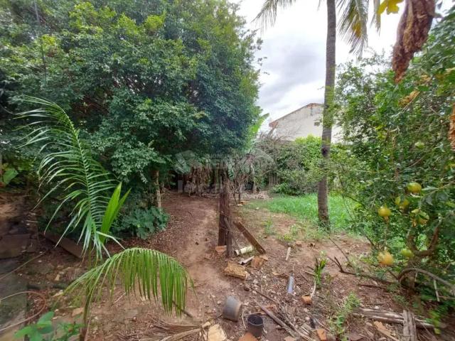 Terreno venda em Região Imediata de São José do Rio Preto, Região Metropolitana de São José do Rio Preto