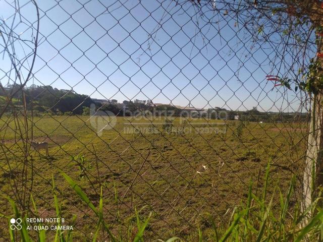Terreno venda em Engenheiro Schmidt, São José do Rio Preto