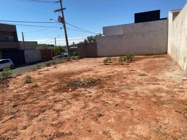 Terreno venda em São José do Rio Preto