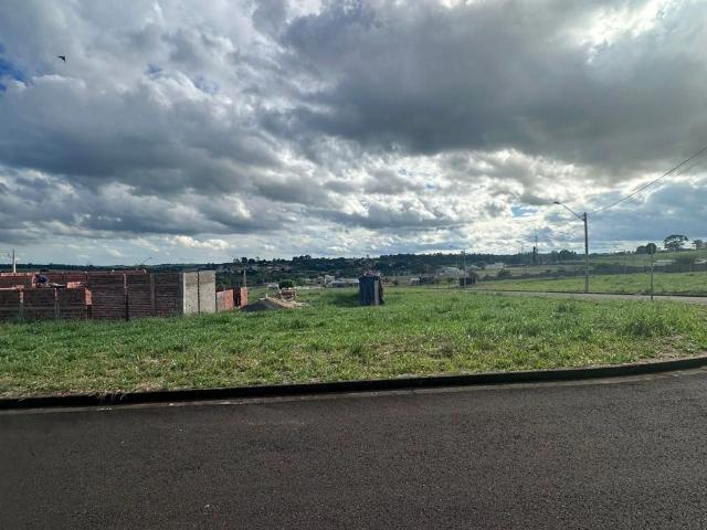 Terreno venda em São José do Rio Preto