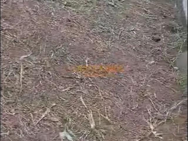 Terreno venda em Região Imediata de São José dos Campos, Região Metropolitana do Vale do Paraíba e Litoral Norte