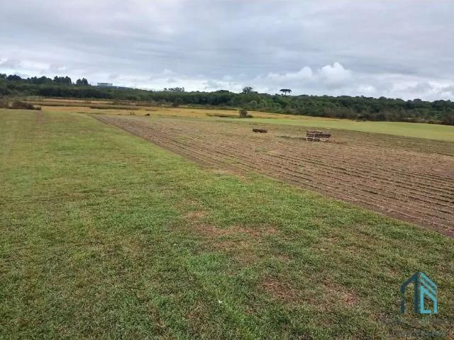 Terreno venda em Região Geográfica Imediata de Curitiba, Região Metropolitana de Curitiba