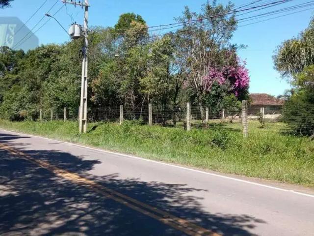 Terreno venda em Região Geográfica Imediata de Curitiba, Região Metropolitana de Curitiba